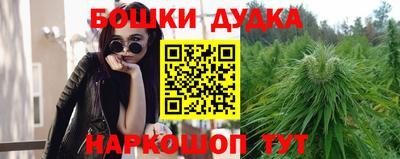 ешки Кингисепп