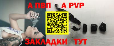 ешки Кингисепп