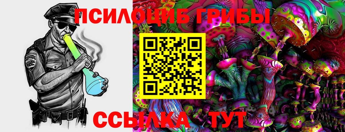 Заринск  Псилоцибиновые грибы прущие грибы  Вход с VPN 