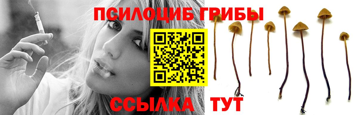 Псилоцибиновые грибы ЛСД Заринск
